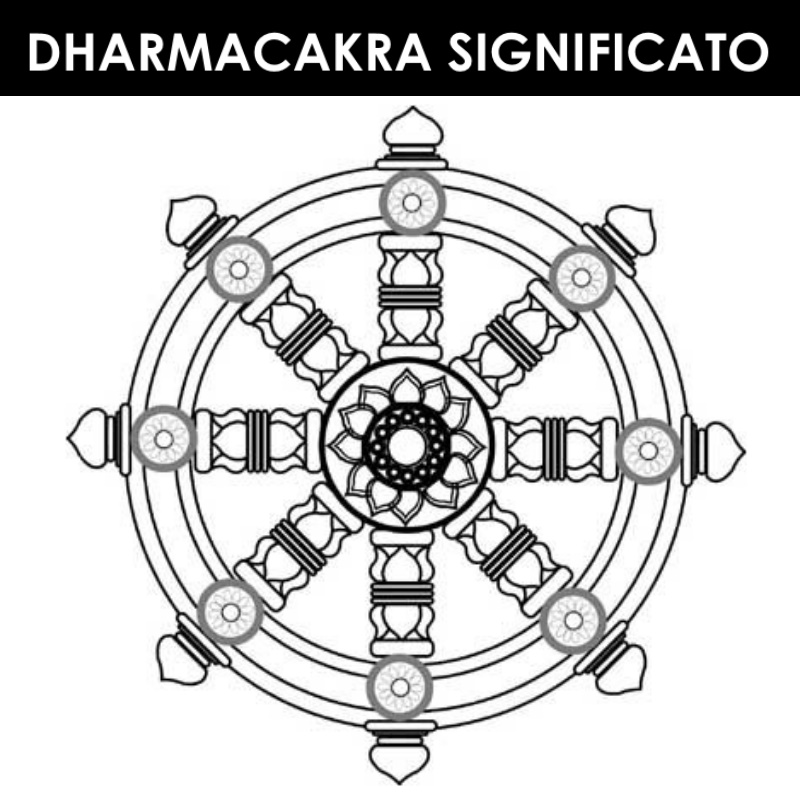 Dharmacakra