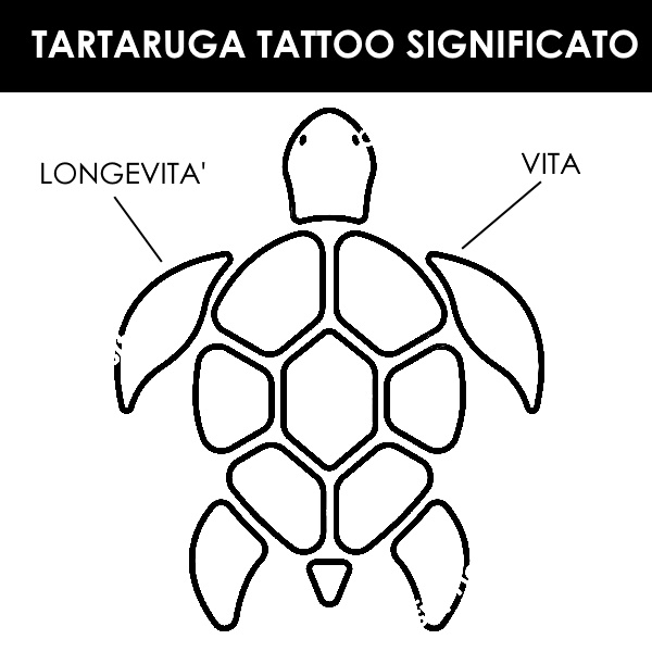 Tattoo uploaded by Niccolò Bader • Tartaruga Tribale Maori • Tattoodo