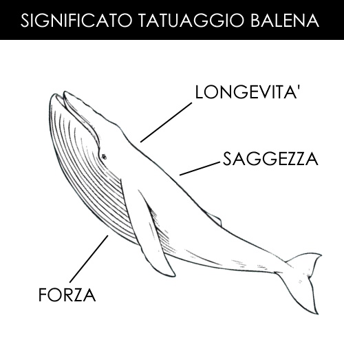 Tatuaggio Balena Significato
